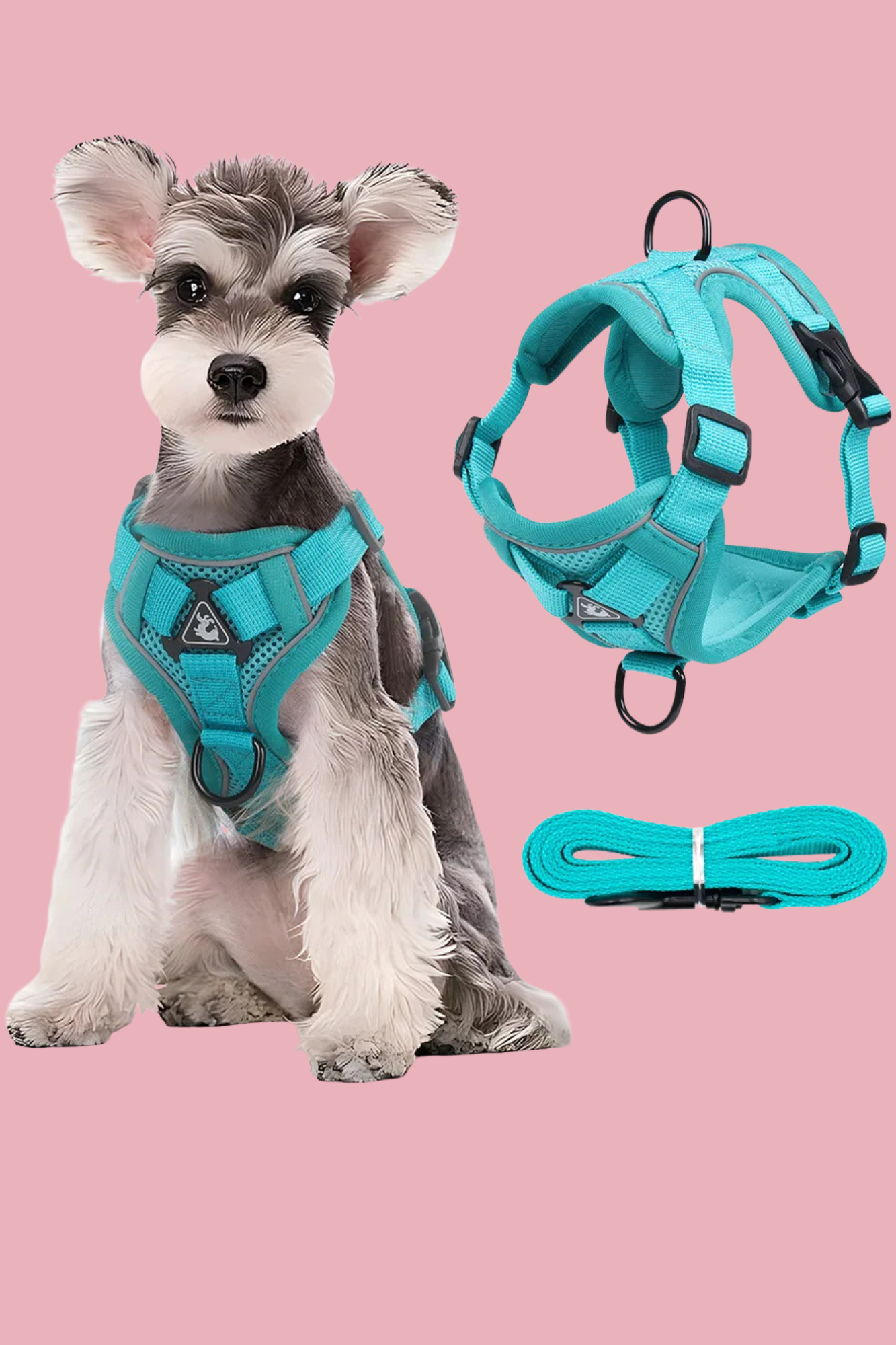 bleu harnais pour chien