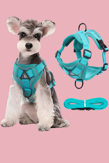 bleu harnais pour chien