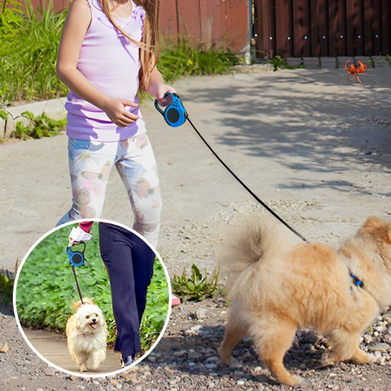  bleu Laisse pour chien robusta