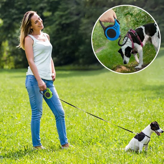 bleu Laisse pour chien