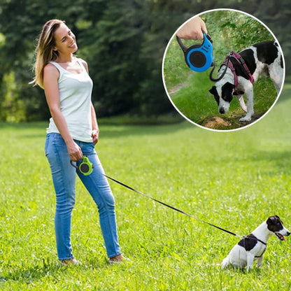 bleu Laisse pour chien