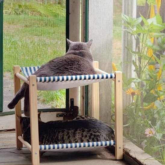 bleu marine hamac pour chat