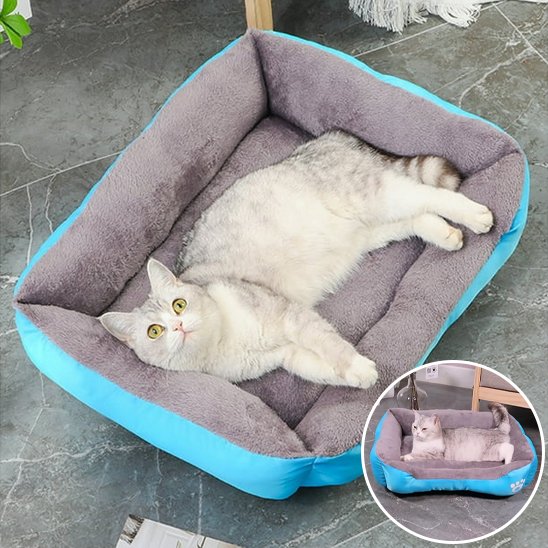 bleu Panier Chat Confortable Design
