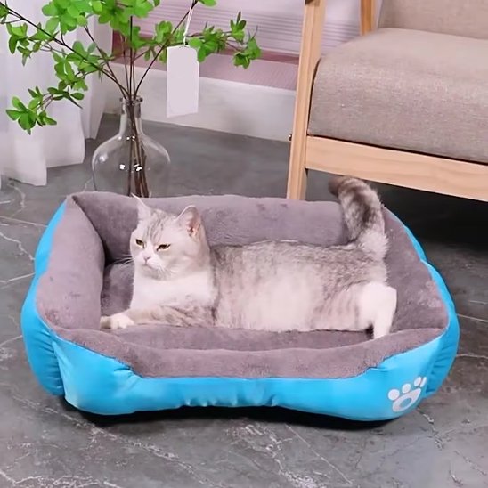 bleu Panier Chat