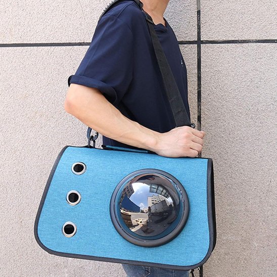 bleu Sac de transport pour chien