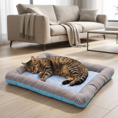 bleu Tapis rafraichissant Chat 