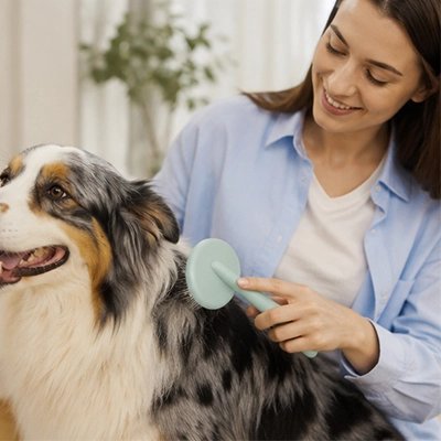 Brosse Chien Anti-Nœuds vert