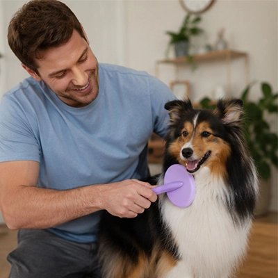 Brosse Chien