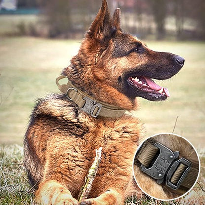 brun Collier pour chien