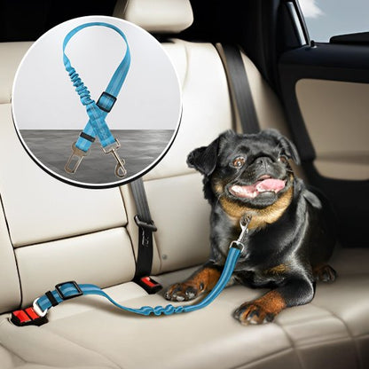 Ceinture chien voiture bleu