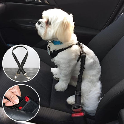 Ceinture chien voiture