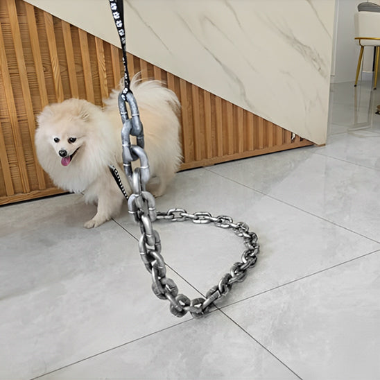 chaine longe pour chien