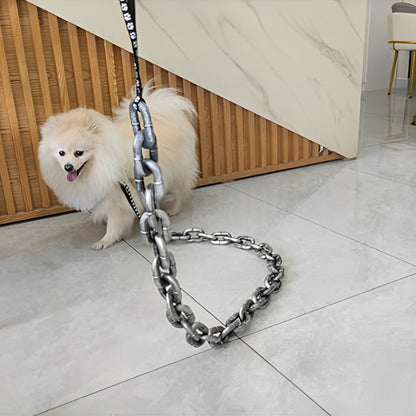 chaine longe pour chien