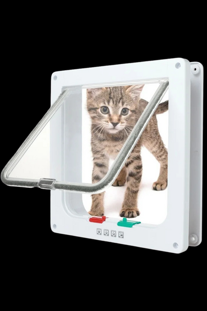 chat chatiere