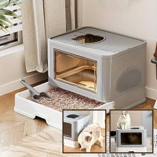 chat gris bac litiere