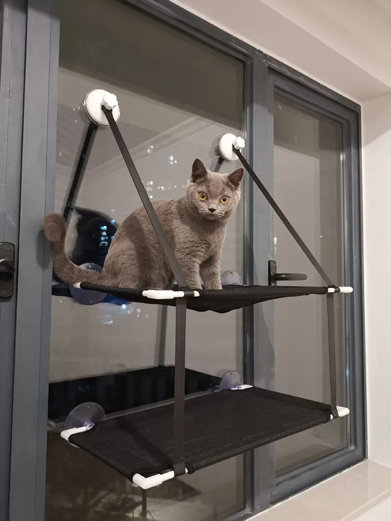 chat gris hamac fenetre