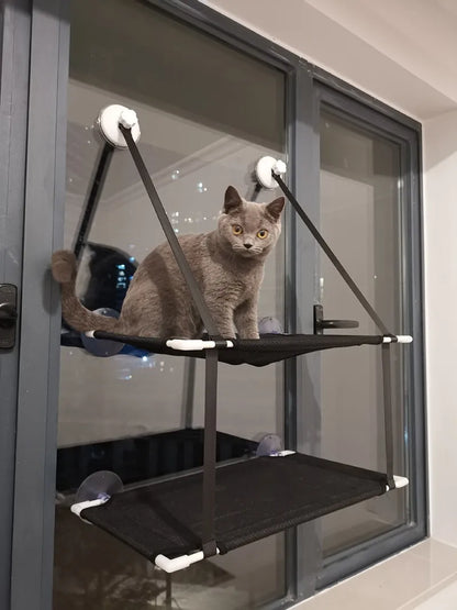 chat gris hamac fenetre