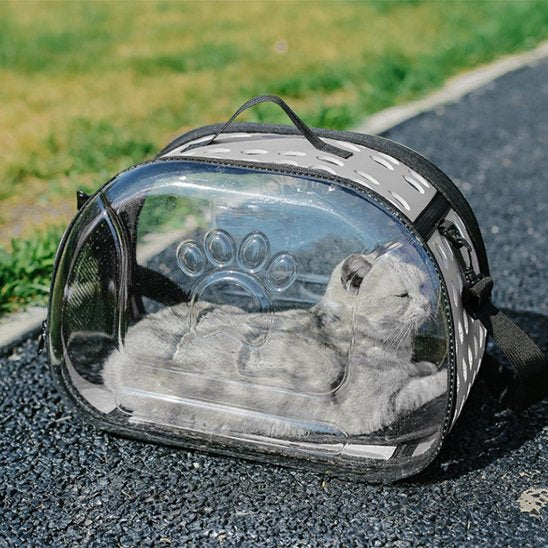 chat inteireur sac de transport pour chat