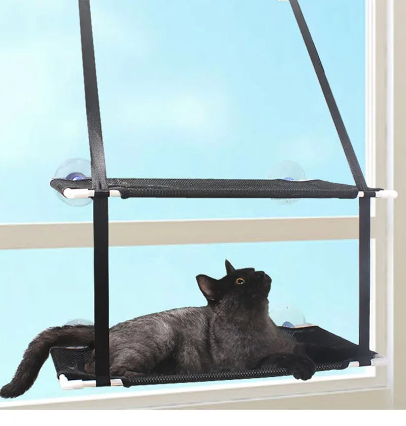 chat noir hamac fenetre