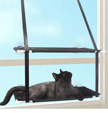 chat noir hamac fenetre