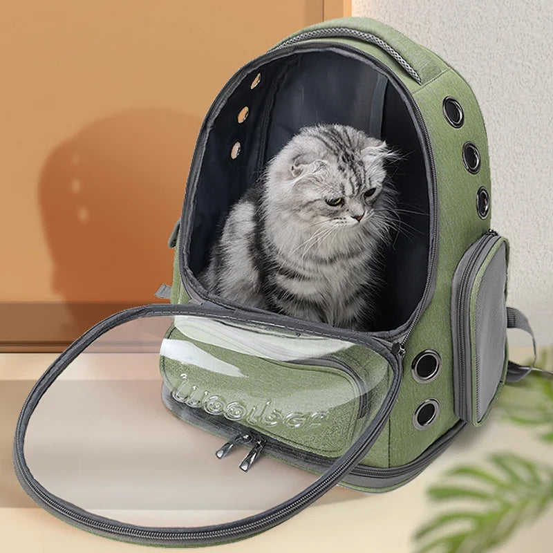 chat sac a dos