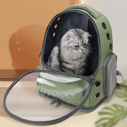 chat sac a dos