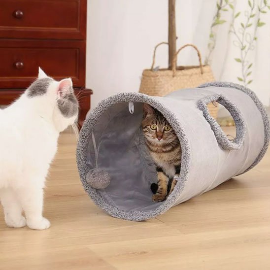 chat tunnel