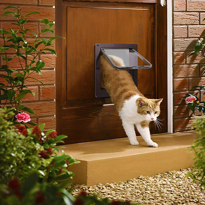 chat chatiere 