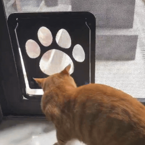 Chatière automatique | SecurPet