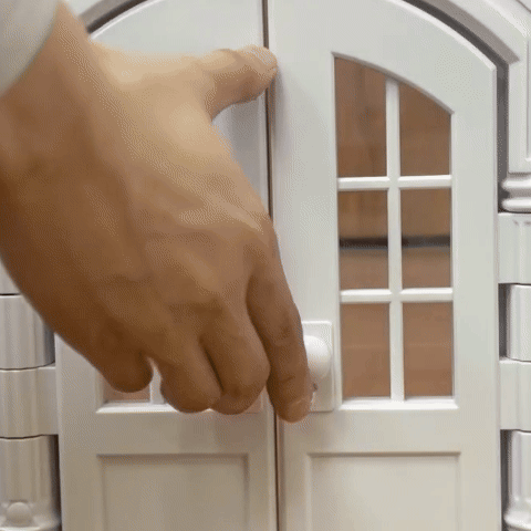 Chatière pour chat | Intelligente