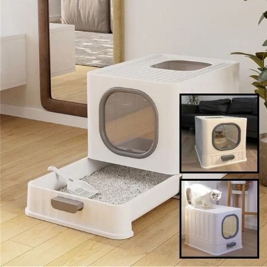 chaton blanc litiere pour chat