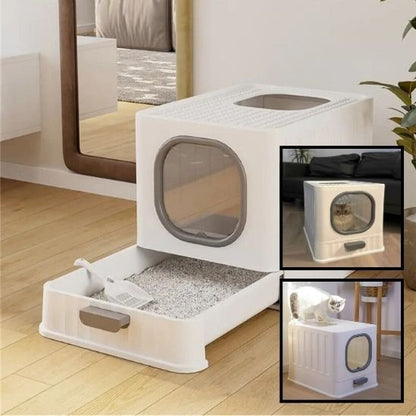 chaton blanc litiere pour chat