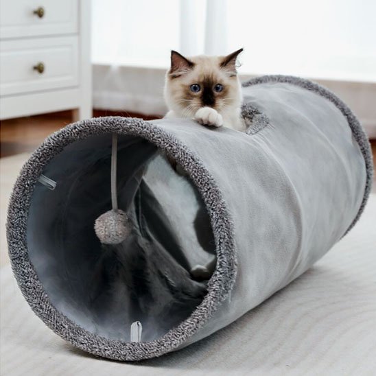chaton tunnel