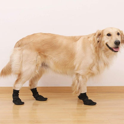 Chaussures chien golden