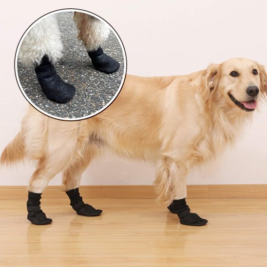 Chaussures chien noir
