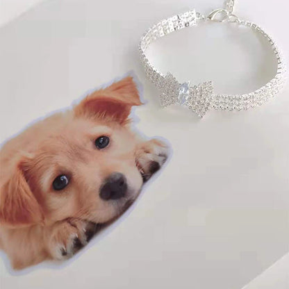 chien collier golden argent cristal