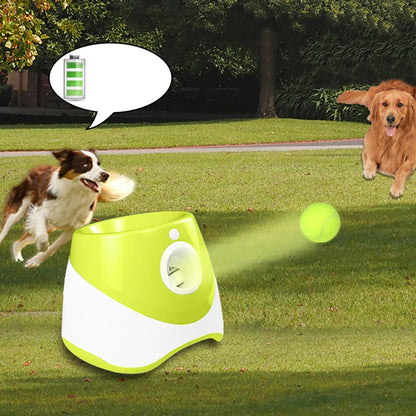 chien energie lanceur de balle