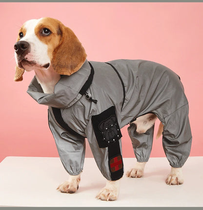 chien impermeable gris