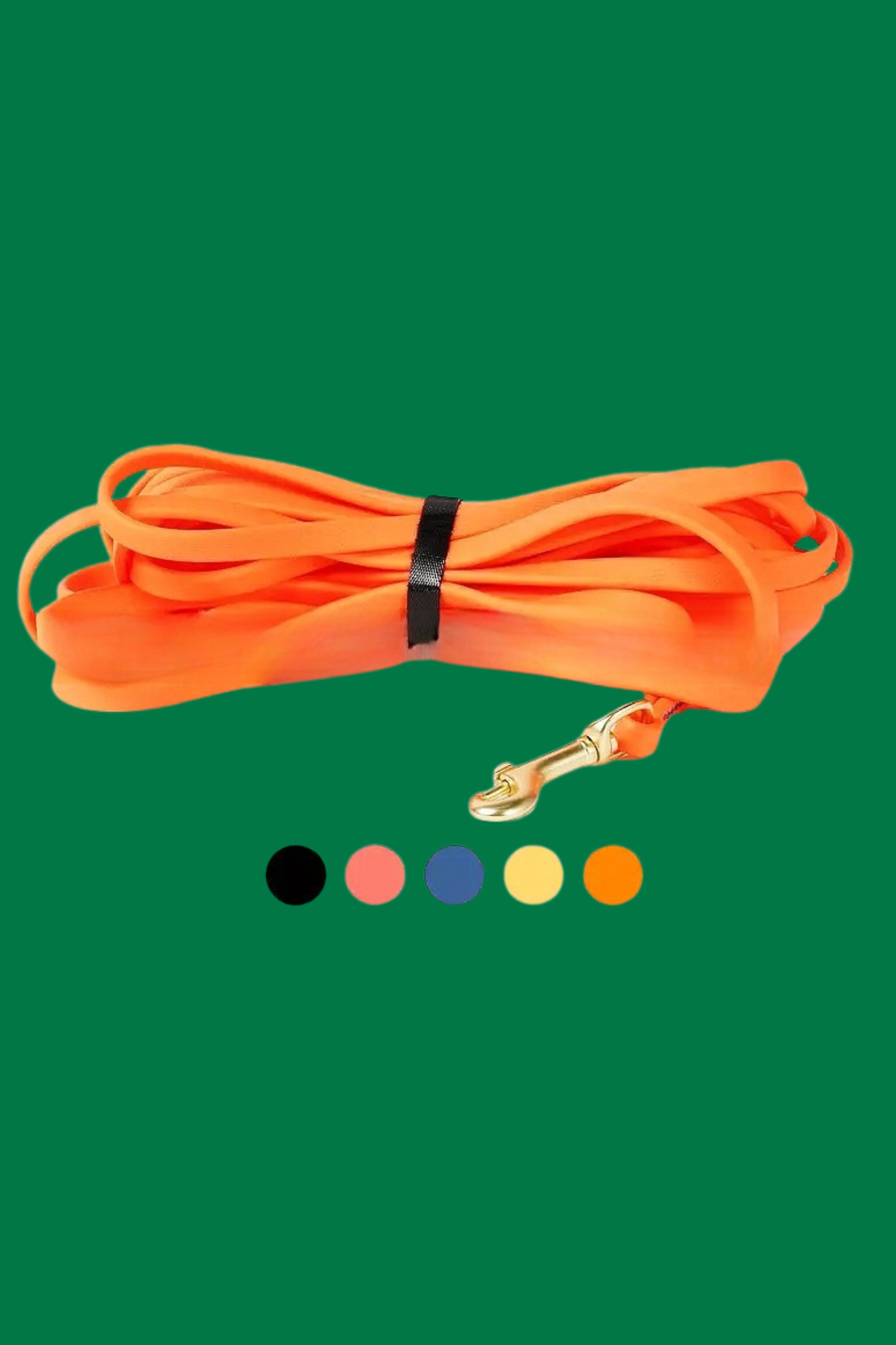 chien laisse orange