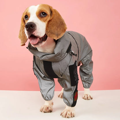 chien model