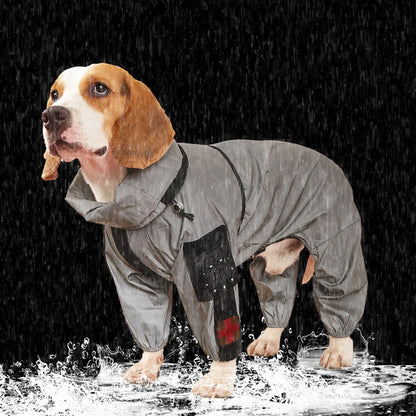 chien orage impermeable