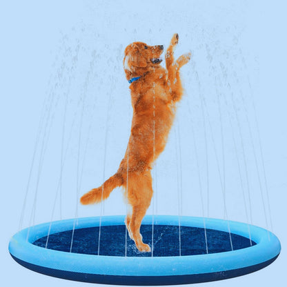 chien piscine content
