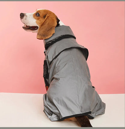 chien porte