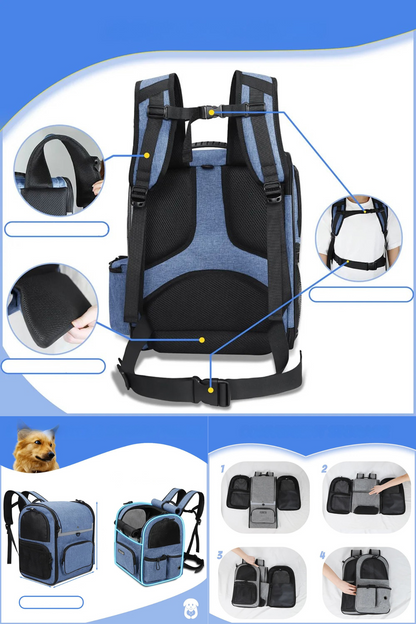 chien sac a dos