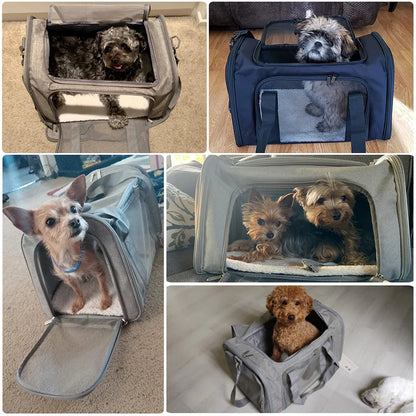 chien sac de transport petit famille