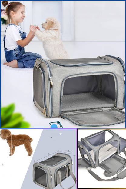 chien sac de transport petit