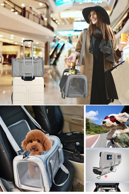 chien sac de transport voyage camping