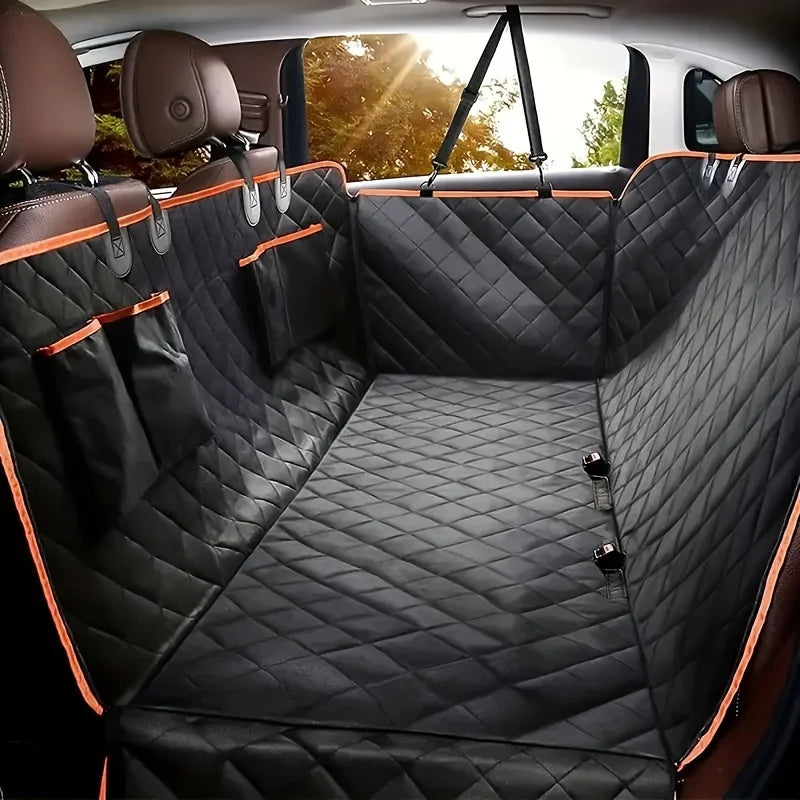 chien voiture protection