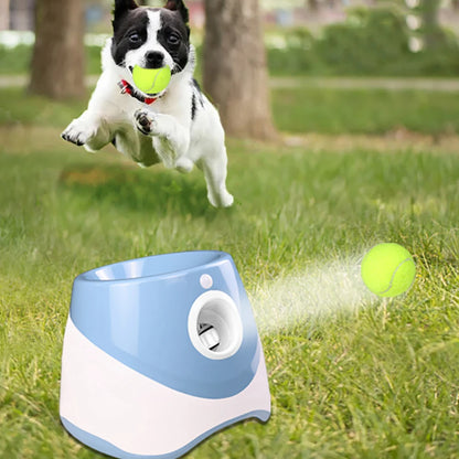 chiot lanceur de balle parc