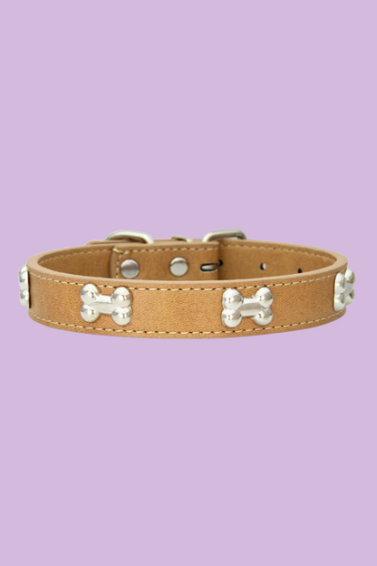 chocolat collier dressage pour chien 